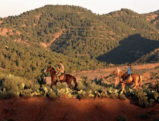 Equitation Marrakech