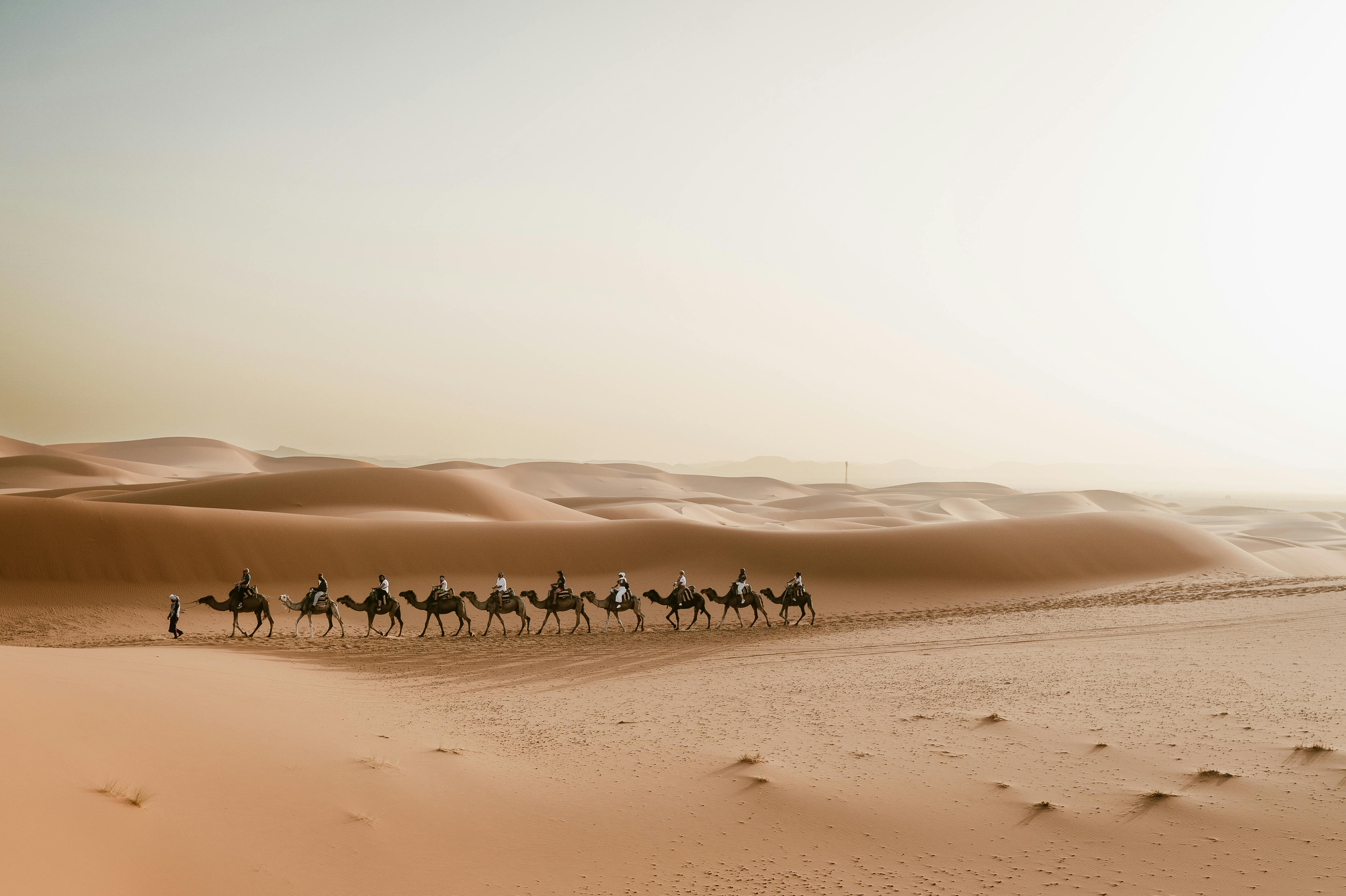 Désert du Maroc