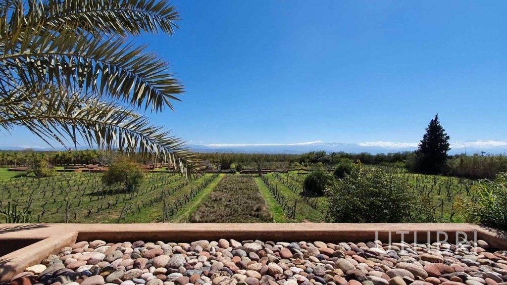 Extraordinary villa, Road to Fes