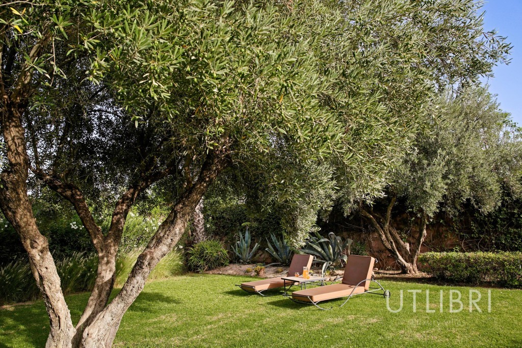 Villa d'exception, Route de Ouarzazate
