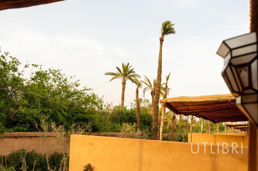 Villa d'exception, Palmeraie