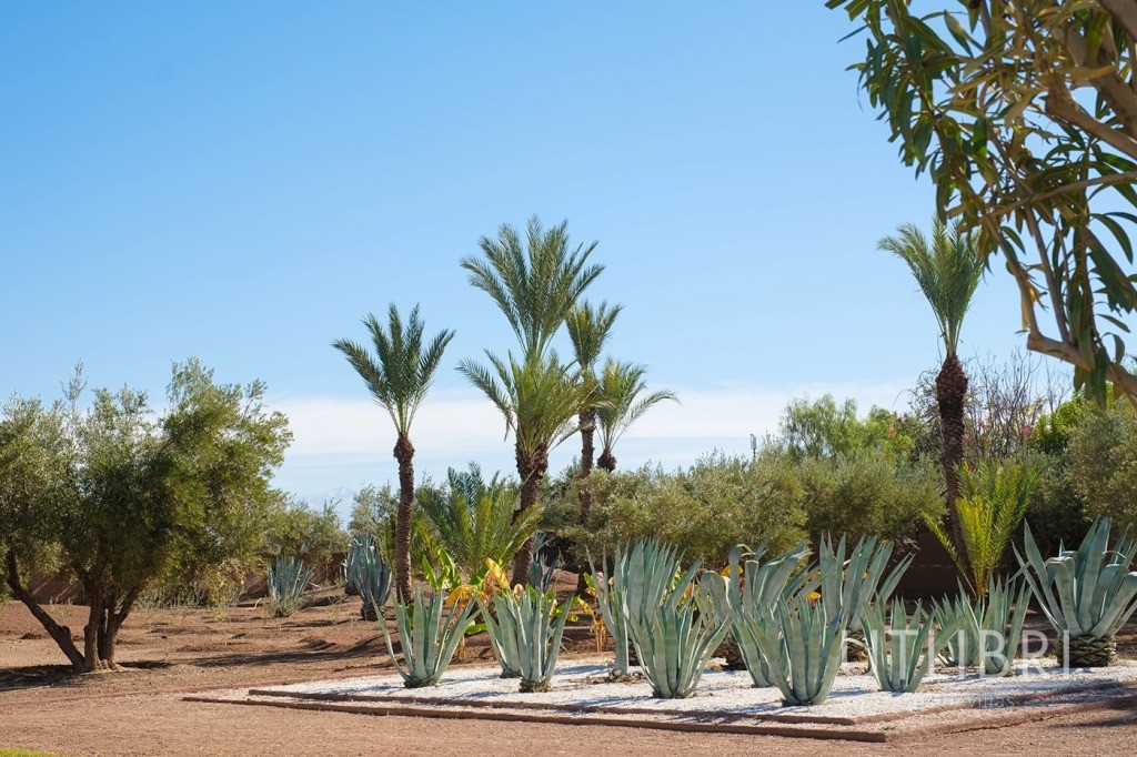 Villa d'exception, Golf d'Amelkis