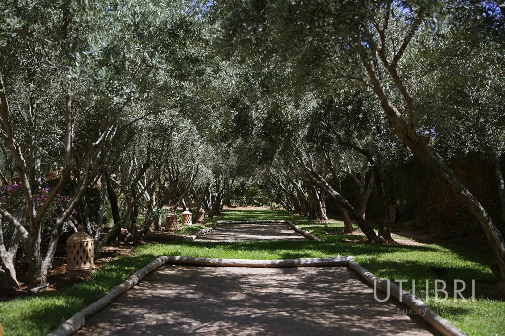 Extraordinary villa, Road to Fes