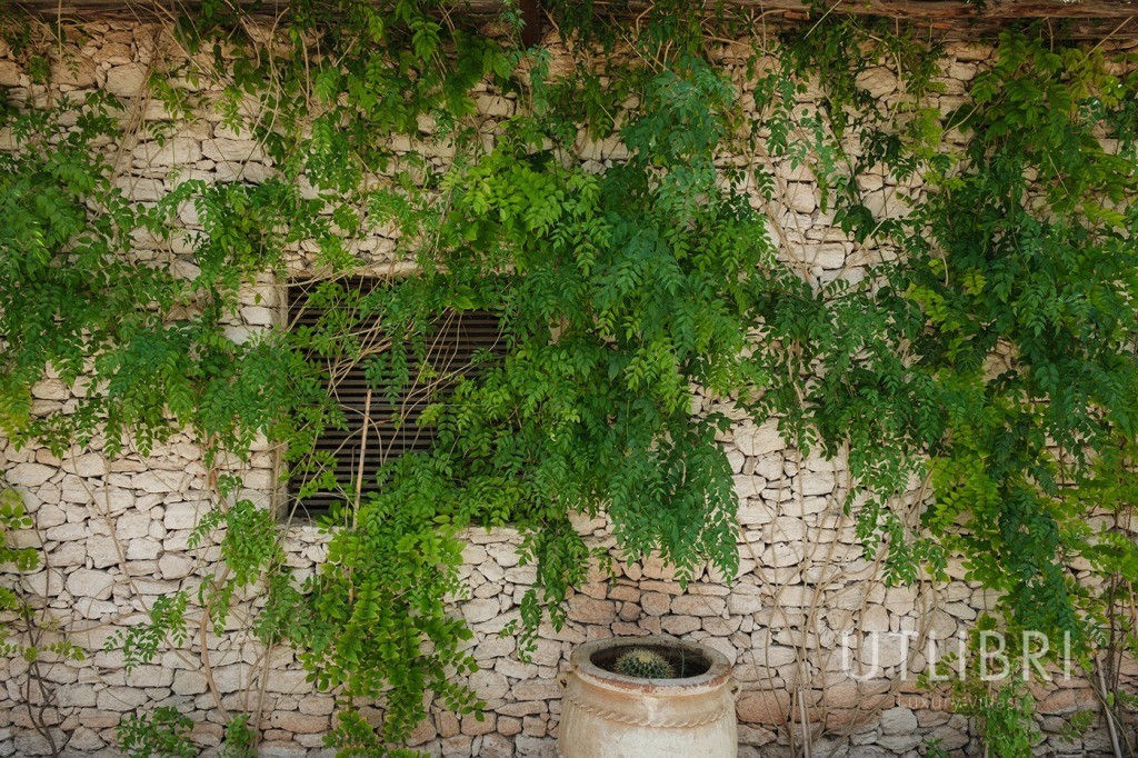 Villa d'exception, Palmeraie
