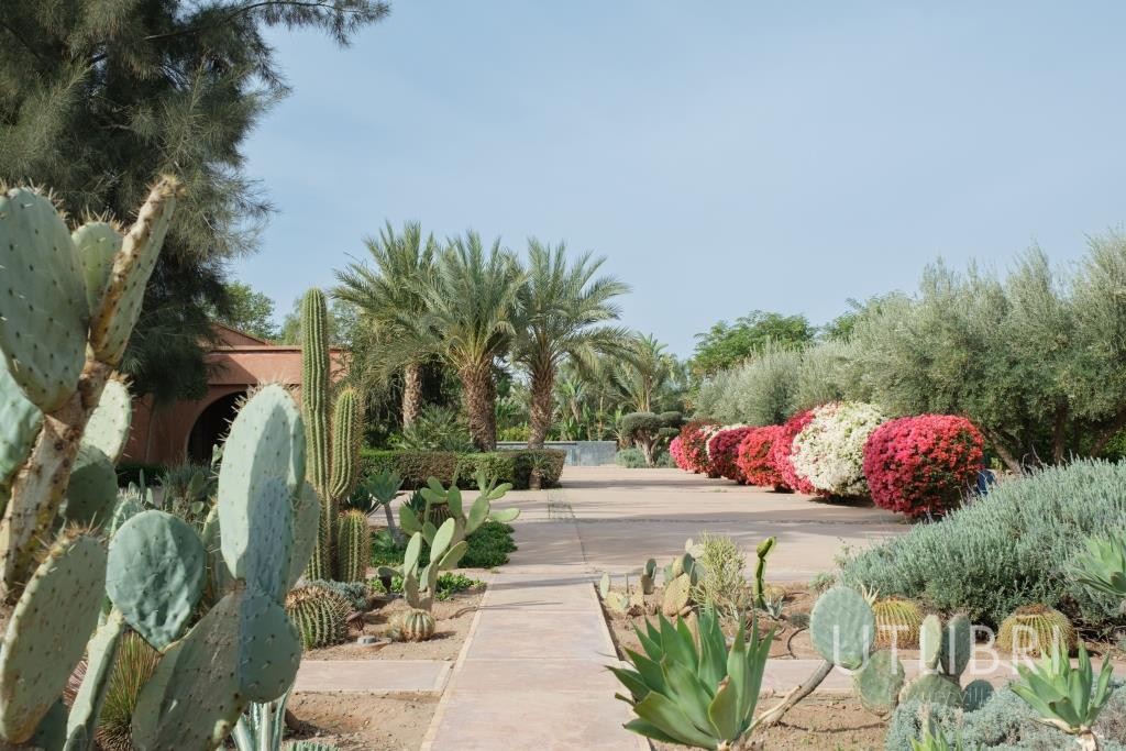 Villa d'exception, Route de Ouarzazate