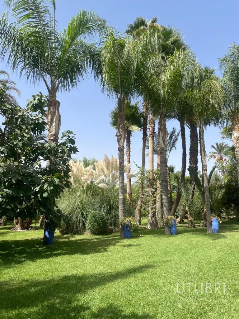 Villa d'exception, Royal Palm et ses environs