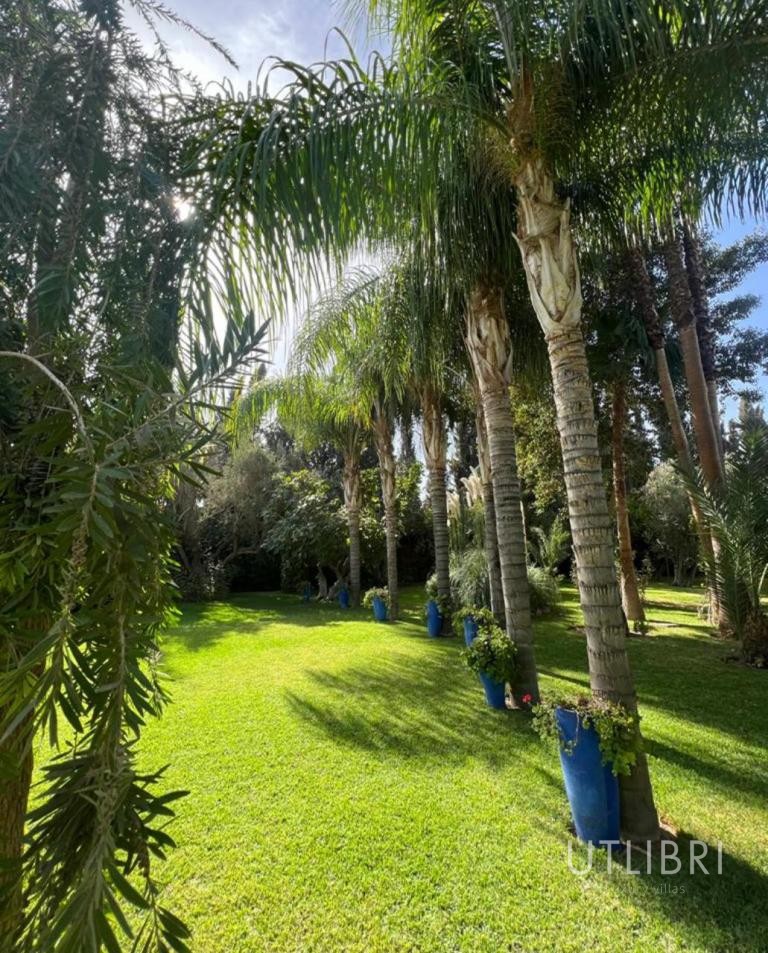 Villa d'exception, Royal Palm et ses environs