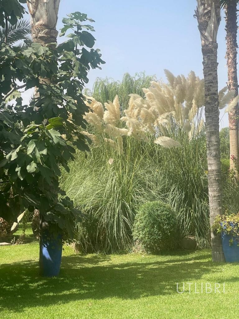 Villa d'exception, Royal Palm et ses environs