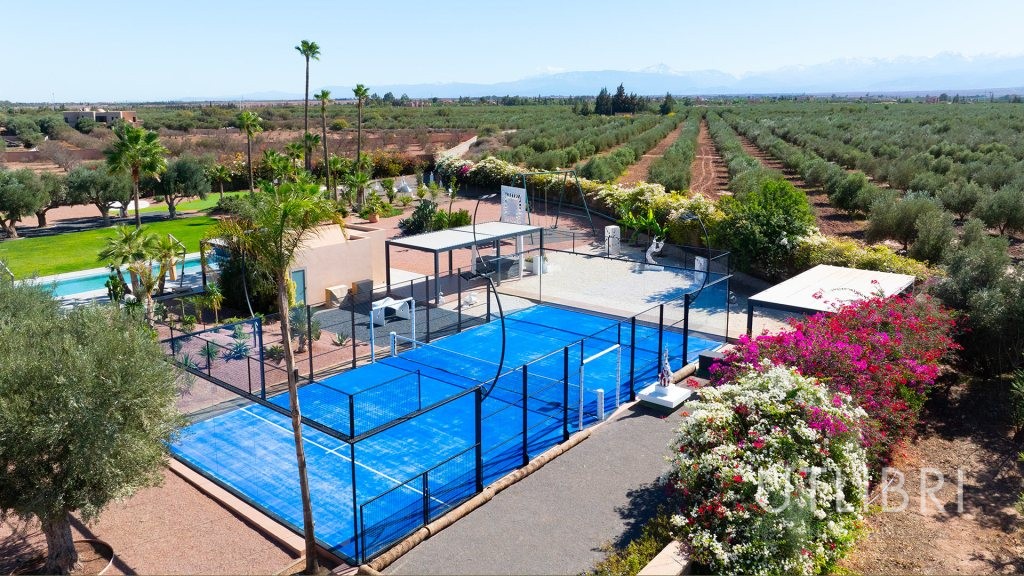 Extraordinary villa, Royal Palm and around