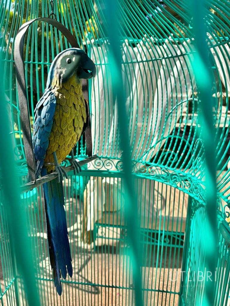 Extraordinary villa, Road to Fes